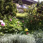 Le Ortensie -lago Di Nocleg ze śniadaniem