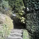 Le Ortensie -lago Di 3* Lierna