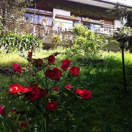 Nocleg ze śniadaniem Le Ortensie -lago Di Lierna