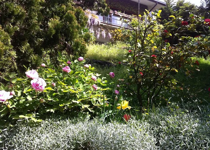 Le Ortensie -lago Di Panzió