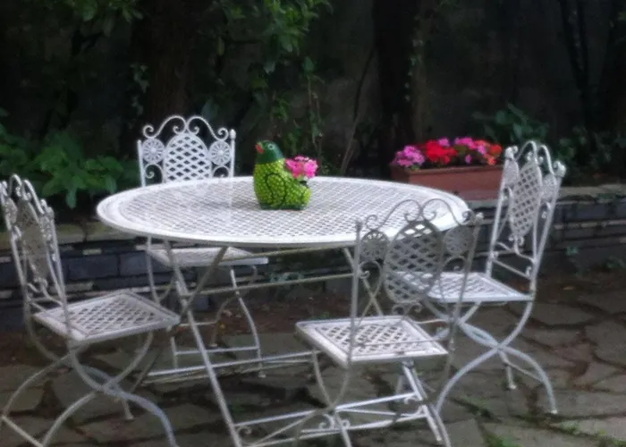 Le Ortensie -lago Di Lierna