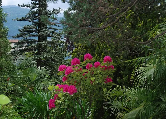 Le Ortensie -lago Di Nocleg ze śniadaniem Lierna