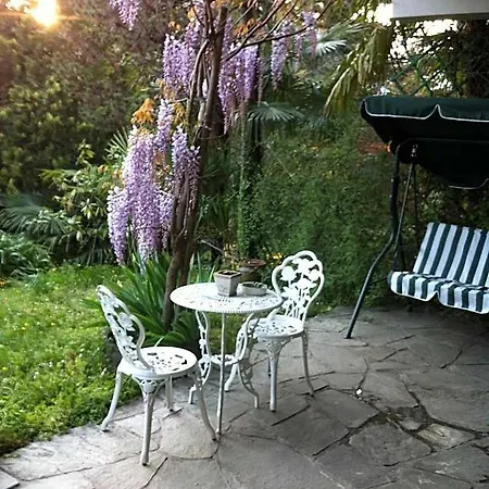 Le Ortensie -lago Di Couette-café Lierna
