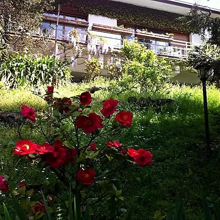 Le Ortensie -lago Di Couette-café Lierna