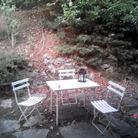 Le Ortensie -lago Di Lierna