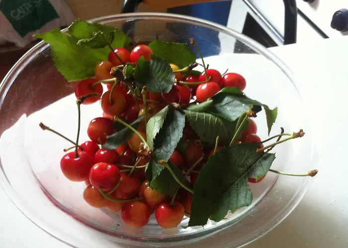 Bed & Breakfast Le Ortensie -lago Di Lierna