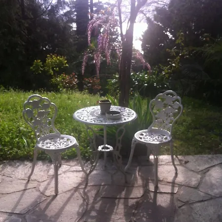 Le Ortensie -lago Di 3* Lierna