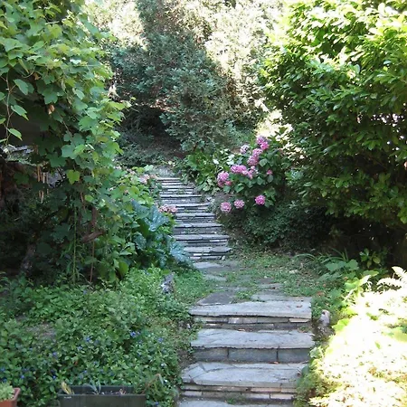 Bed and Breakfast Le Ortensie -lago Di Lierna