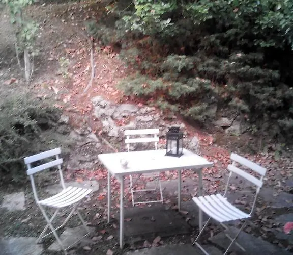 Le Ortensie -lago Di Lierna