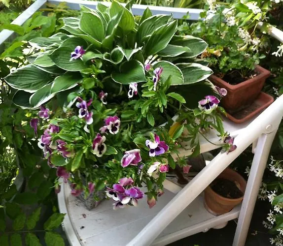 Nocleg ze śniadaniem Le Ortensie -lago Di 3*