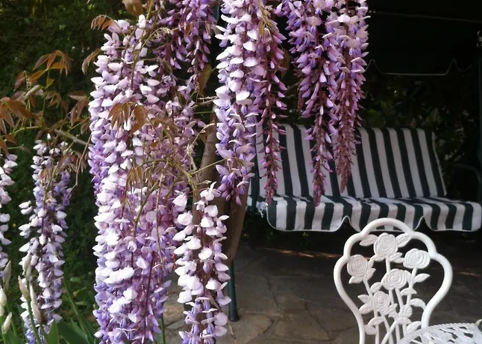 Le Ortensie -lago Di