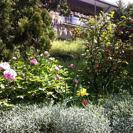Le Ortensie -lago Di Frühstückspension