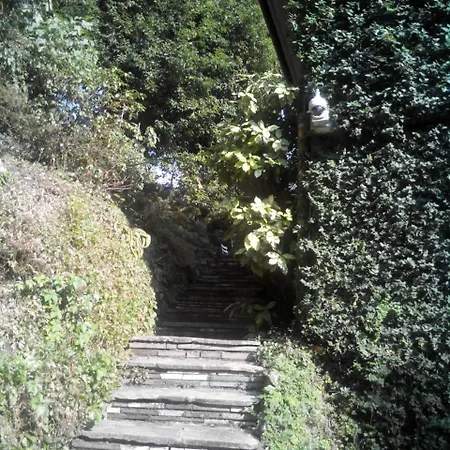 Le Ortensie -lago Di * Lierna