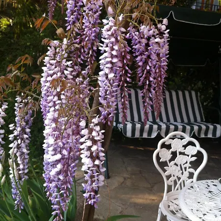 Le Ortensie -lago Di